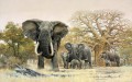 Elefantenherde und Baobabs